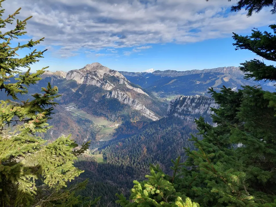 ESS durabilité comptabilité carbone responsable éthique écologique impact positif CARE association associations transition écologique projets à impact durable durabilité solidaire incubateur